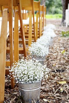 an image of wedding flowers lined up in buckets on the side of a row of wooden chairs