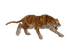 an animated tiger running across a white background