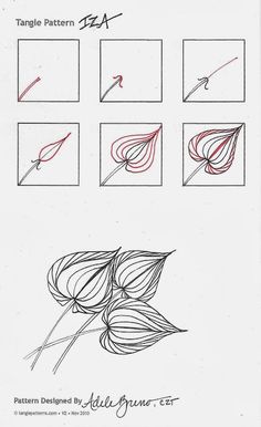 the instructions for how to draw a flower