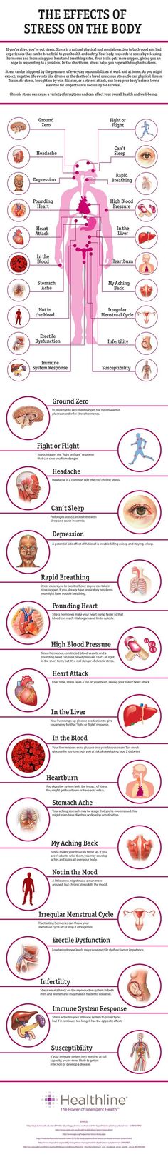 This pin shows 20 different effects that stress can have on the body, both short term and long term. Short term could be a headache or body ache and long term could be as bad as a heartattack! Interactive Infographic, Adrenal Fatigue, Essential Nutrients, Health Info, Healthy Mind, Health Issues, Body Health, Healthy Tips, The Body