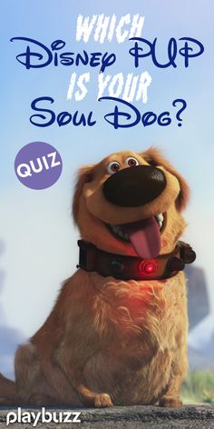 a dog with its tongue out and the words which disney pup is your soul dog? quiz