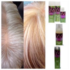 On 100 % white hair. 1) 8.00 1 1/2 oz+ 1/2 8.3 + 2 oz 20 v. 2) 1 1/2 oz 9.00+ 1/4 oz 8.3 + 1/4 oz 8.56 + 2 oz 20 v . 3) 10.00 1 1/2 oz+ 1/4 oz 10.3 + 1/4 oz 10.2 + 2 oz 30v. Prep hair w UM First, super pack Reconstructor . After color use Color Protecting Shampoo & Cond. Leave in Oil treatment for shine and protection, Volumizing Foam for volume & lift. Secure style with Fast Drying Finishing Spray. 100 % gray coverage, Healthy and Beautiful Hair. Www.mastey.com for information & education. Light Golden Blonde, Pale Blonde, Gray Coverage, Color Shampoo, Oil Treatments, Golden Blonde