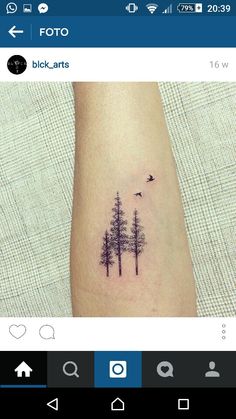 a small pine tree tattoo on the left forearm and right arm with birds flying over it