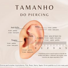 a diagram showing the parts of a human's ear, labeled in latin and english