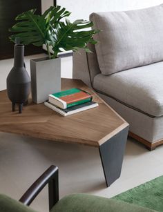 a coffee table with two books on it and a plant in the corner next to it