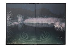 an open book with water and grass in it