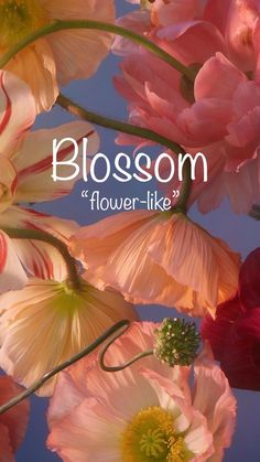 a bunch of flowers with the words blossom on it's bottom corner and below