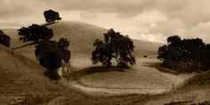 sepia photograph of trees and hills on cloudy day