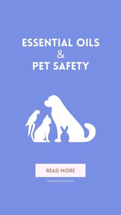 the front cover of essential oils and pet safety, with an image of a dog and cat