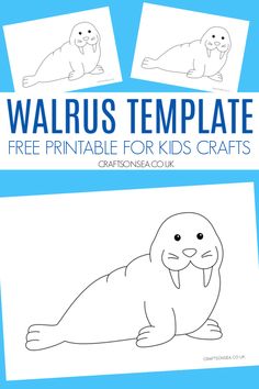 the walrus template for kids to color