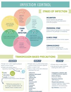 an info sheet with different types of information