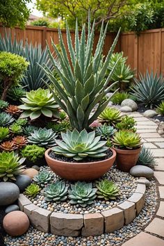 an assortment of succulents and rocks in a garden