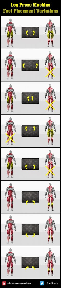 Leg Workouts Gym, Fitness Studio Training, Glute Workouts, Fitness Shirts, Gym Machines, Leg Workouts, Gym Routine