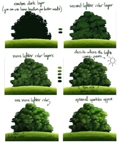 how to draw a tree in stages