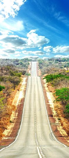 an empty road in the middle of nowhere with trees and bushes on both sides under a cloudy blue sky