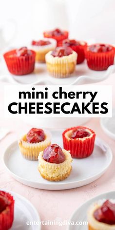 Mini Cherry Cheesecakes | Party Desserts Cheesecakes Recipes, Traditional Cheesecake, Vanilla Wafer, Potluck Dinner, Quick And Easy Appetizers