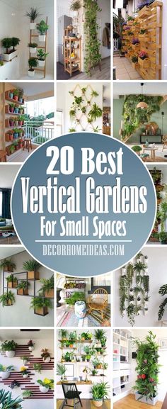 the top 20 best vertical garden for small spaces