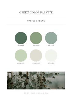 the green color palette for pastel greens