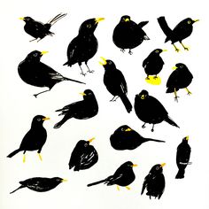 black birds with yellow beaks are standing in a circle on a white background,