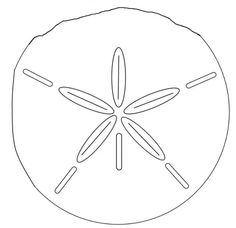 a drawing of a sand dollar