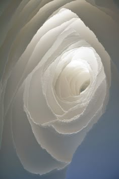 the inside of a large white flower