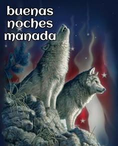 two white wolfs standing on top of a rock next to an american flag with the words buenas noches manada