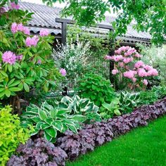 a garden filled with lots of different types of flowers