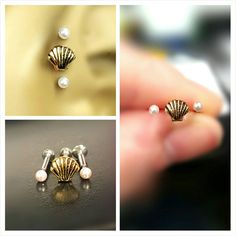 four different pictures of seashells and pearls