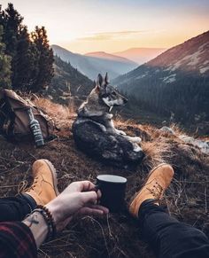 a person sitting on the ground holding a cup with a dog laying next to them