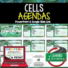 cell's agendas powerpoint and google slide link for cel's