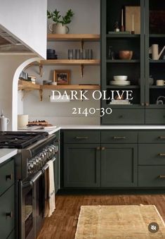 a kitchen with dark green cabinets and white counter tops, an area rug on the floor