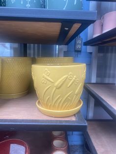 two yellow bowls sitting on top of a shelf in a room filled with other items