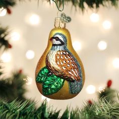 a glass ornament with a bird on it hanging from a christmas tree branch