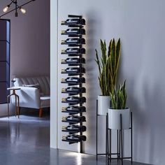 a tall wine rack next to a plant in a living room with grey walls and flooring