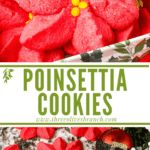 there is a sign that says poinsettia cookies