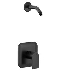 an image of a black shower faucet