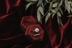 an engagement ring sitting on top of a red velvet covered box next to a green plant