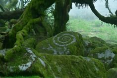 some mossy rocks and trees in the foggy forest with spiral designs on them