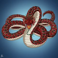 a red and white snake on a blue background