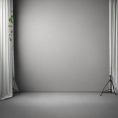 an empty room with white curtains and a plant on the floor in front of it