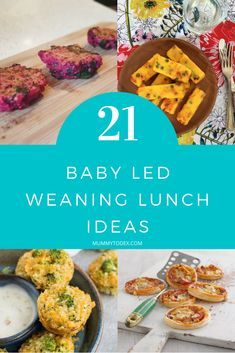 baby led weaning lunch ideas