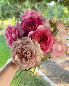 a hand holding a bouquet of pink and red flowers