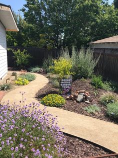 a garden with purple flowers and lavender plants