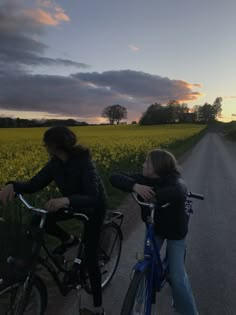 two people riding bikes on a road near a field with yellow flowers and trees in the distance