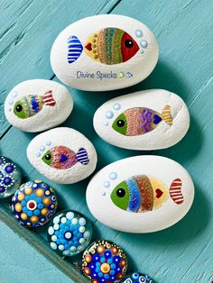 painted rocks with colorful fish on them sitting on a blue wooden table next to an empty container