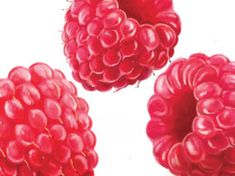 three raspberries are shown on a white background