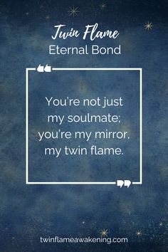 a quote from twin flame that says you're not just my soulmate, you're my mirror, my twin flame