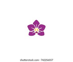 a flower that is purple and yellow with the letter h in it's center