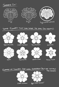 some flowers that look like they are in different shapes and sizes, with the names below them