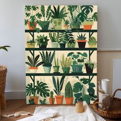 an image of plants on shelves in the living room